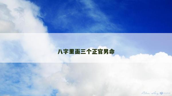 八字里面三个正官男命