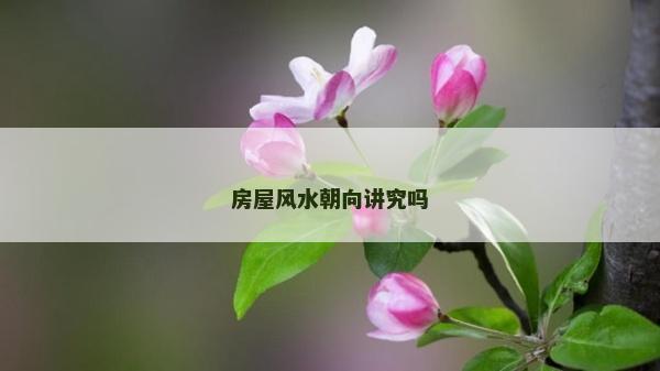 房屋风水朝向讲究吗