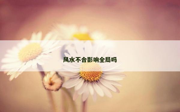 风水不合影响全局吗