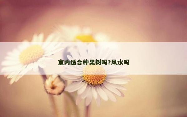 室内适合种果树吗?风水吗