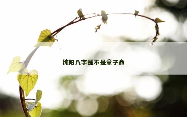 纯阳八字是不是童子命