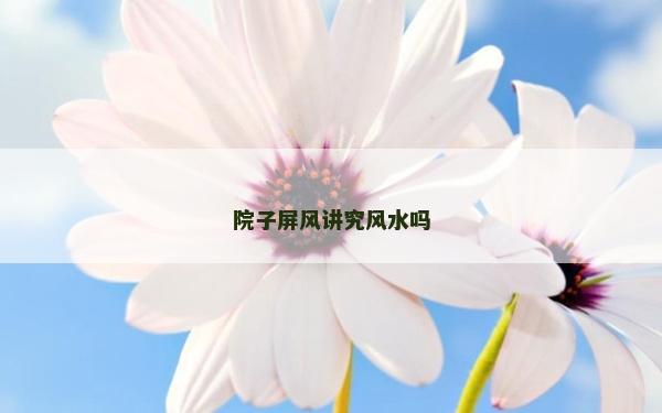 院子屏风讲究风水吗