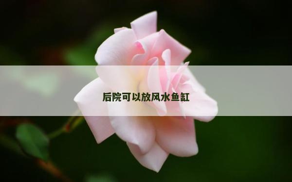 后院可以放风水鱼缸