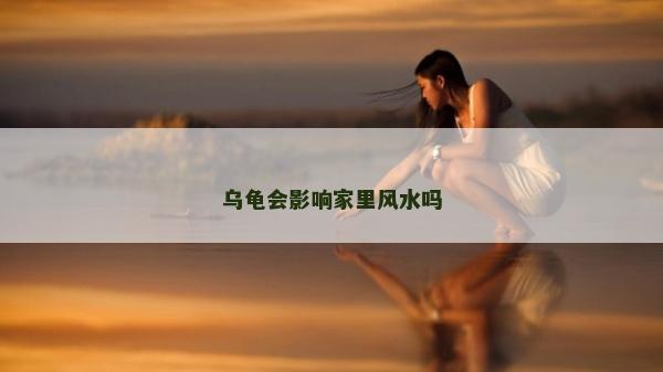 乌龟会影响家里风水吗