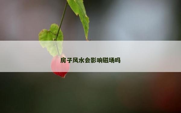 房子风水会影响磁场吗