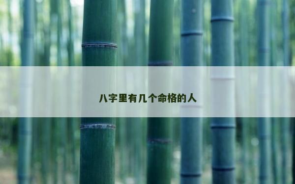 八字里有几个命格的人