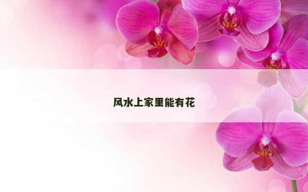 风水上家里能有花