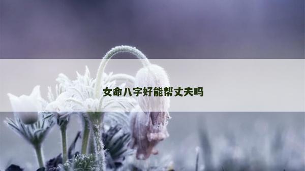 女命八字好能帮丈夫吗