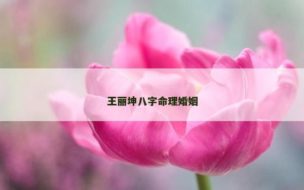 王丽坤八字命理婚姻
