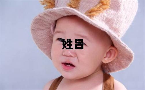 姓吕叫什么名字好 姓吕的男孩大气文雅的名字