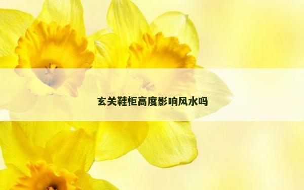 玄关鞋柜高度影响风水吗