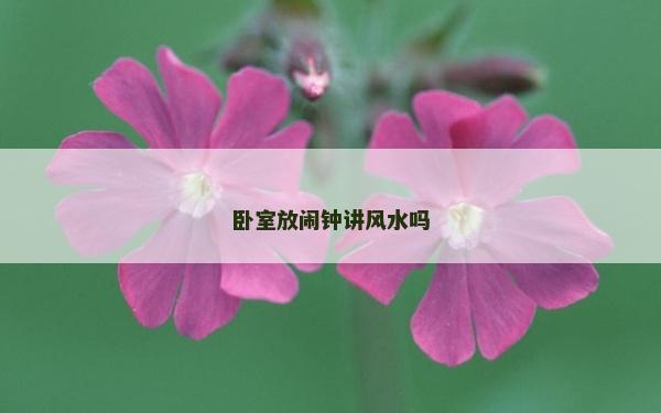 卧室放闹钟讲风水吗