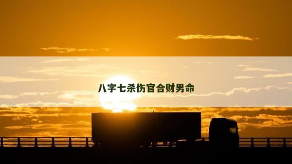 八字七杀伤官合财男命