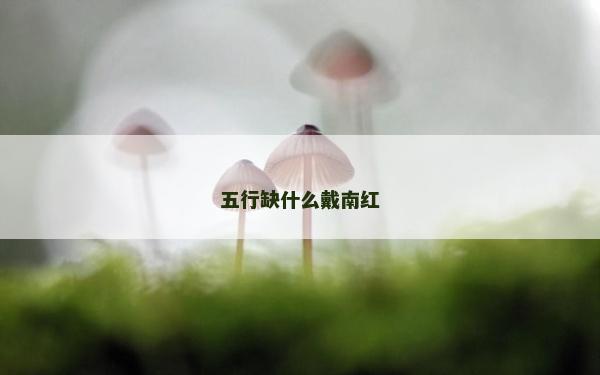 五行缺什么戴南红