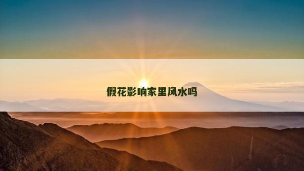 假花影响家里风水吗