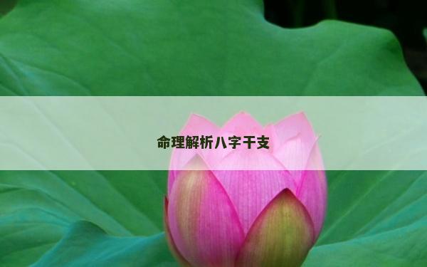 命理解析八字干支