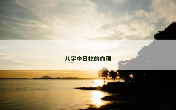八字中日柱的命理