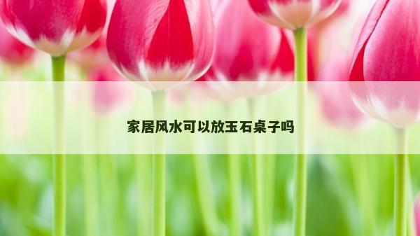 家居风水可以放玉石桌子吗