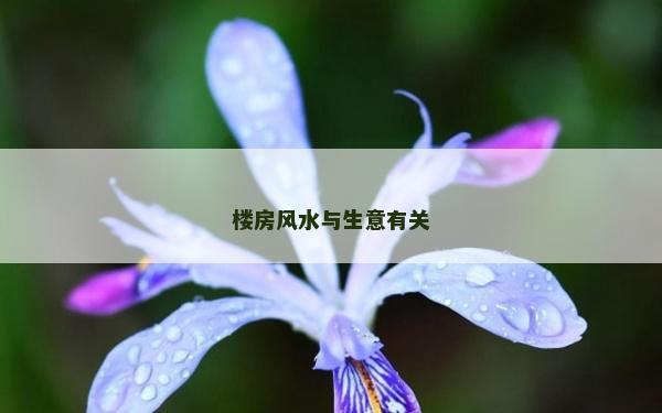 楼房风水与生意有关