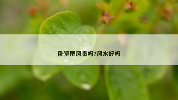 卧室屏风贵吗?风水好吗