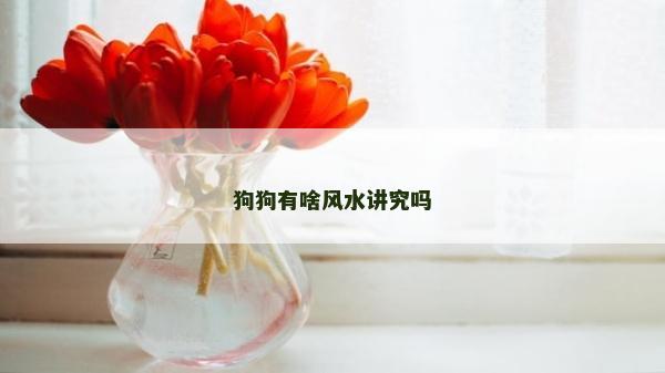 狗狗有啥风水讲究吗