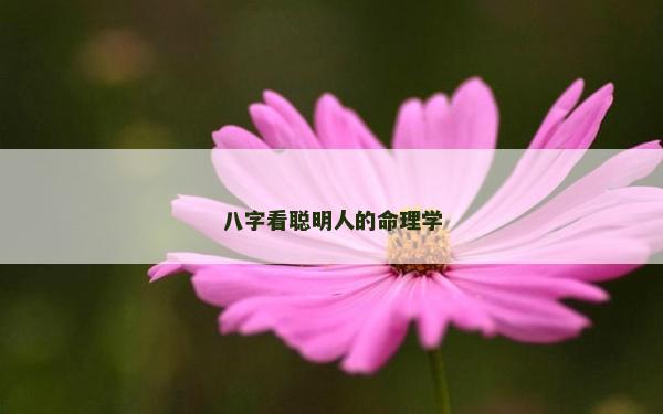 八字看聪明人的命理学