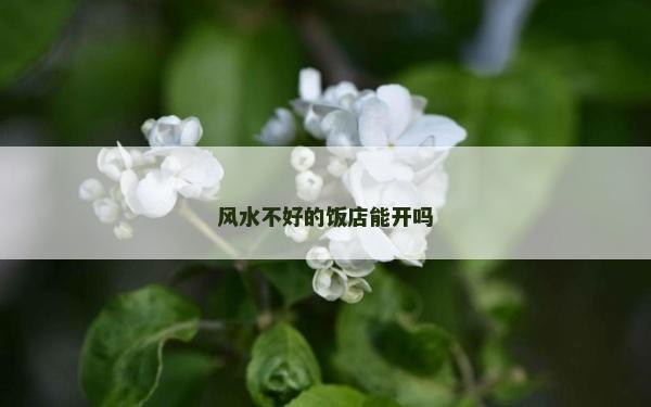 风水不好的饭店能开吗