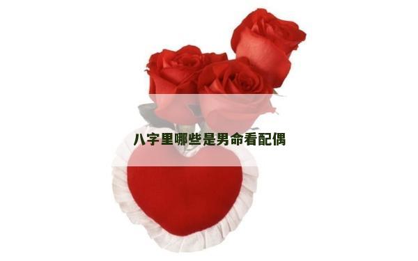 八字里哪些是男命看配偶