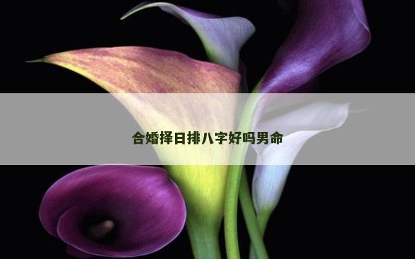合婚择日排八字好吗男命