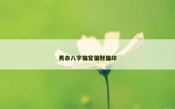 男命八字偏官偏财偏印