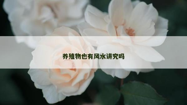 养殖物也有风水讲究吗
