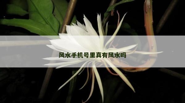 风水手机号里真有风水吗