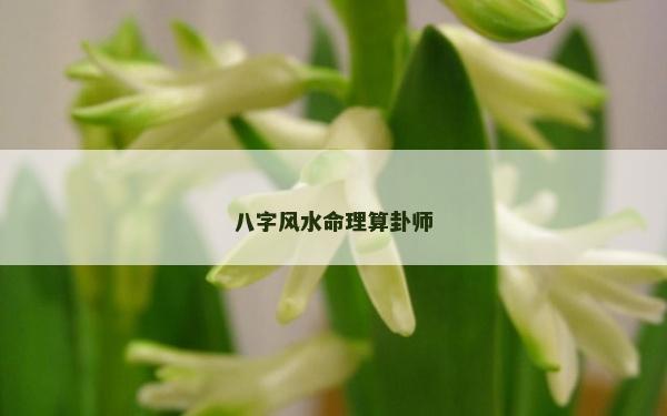 八字风水命理算卦师