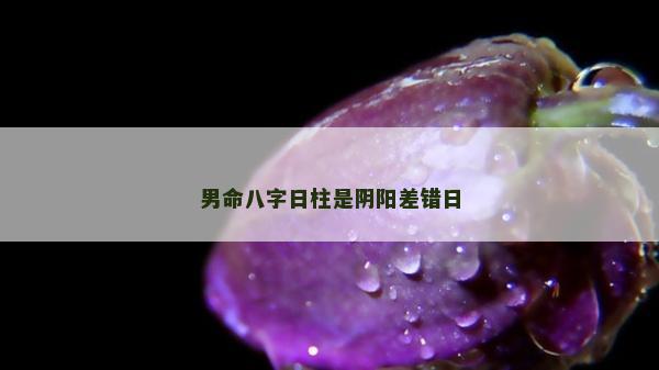 男命八字日柱是阴阳差错日