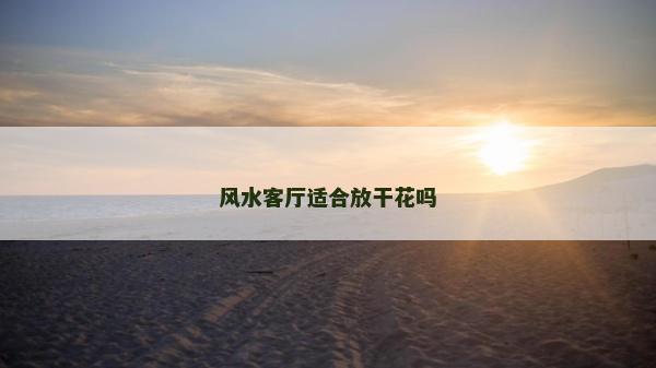 风水客厅适合放干花吗