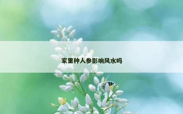 家里种人参影响风水吗