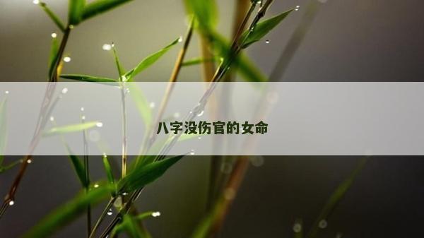 八字没伤官的女命