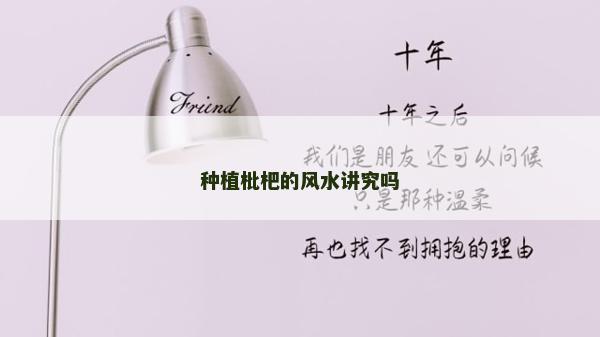 种植枇杷的风水讲究吗