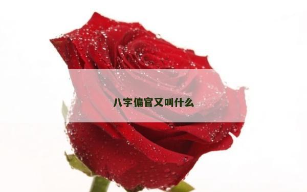 八字偏官又叫什么