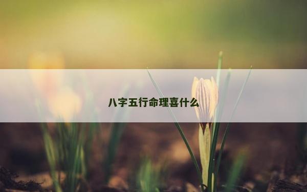 八字五行命理喜什么