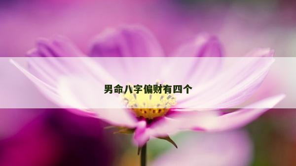 男命八字偏财有四个