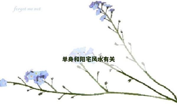 单身和阳宅风水有关