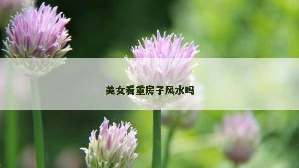 美女看重房子风水吗