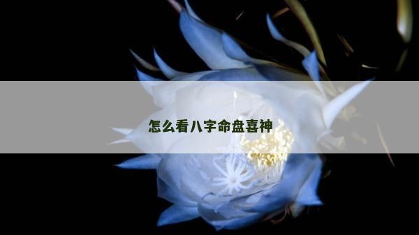 怎么看八字命盘喜神