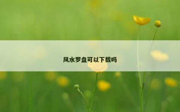 风水罗盘可以下载吗