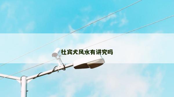 杜宾犬风水有讲究吗