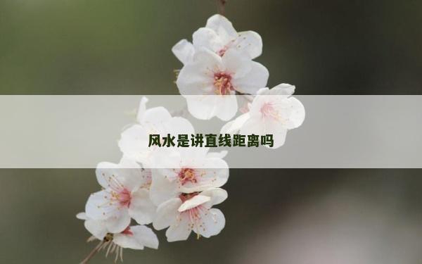 风水是讲直线距离吗
