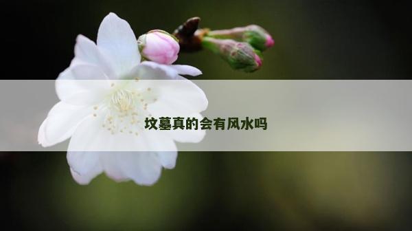 坟墓真的会有风水吗