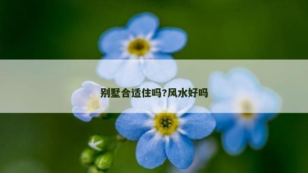 别墅合适住吗?风水好吗