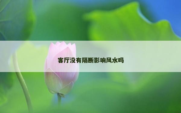 客厅没有隔断影响风水吗